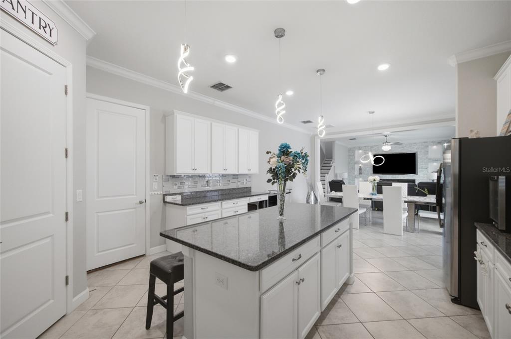 11419 Sunburst Marble Road Riverview, FL 33579 - Photo 10 of 46