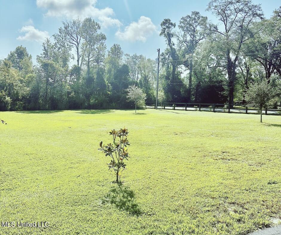 4955 Davis Sawmill Road Lucedale, MS 39452 - Photo 3 of 25 Mockup Editing Photo Facebook Post - 3