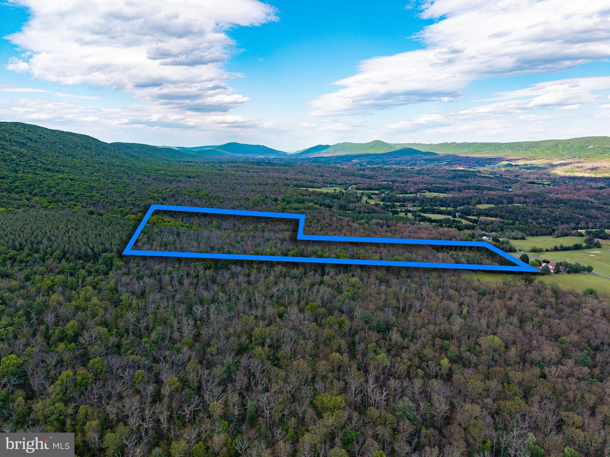 Boliver Road Fort Valley, VA 22652 - Photo 41 of 49 Gallery Image 41