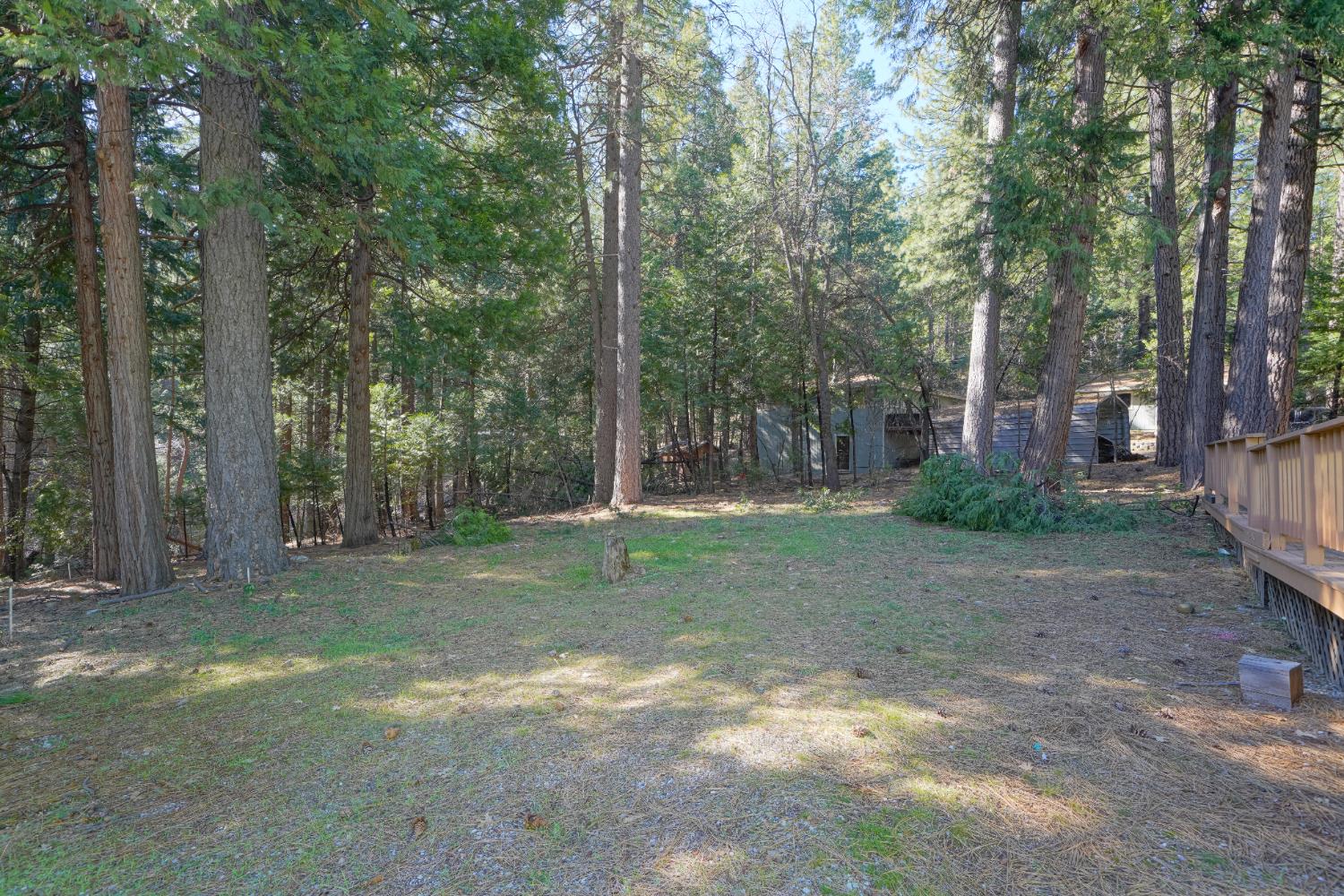 5224 Doe View Place Pollock Pines, CA 95726 - Photo 25 of 27