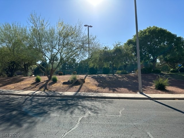 285 Spring Palms Street Henderson, NV 89012 - Photo 26 of 38 View of street with curbs and street lights