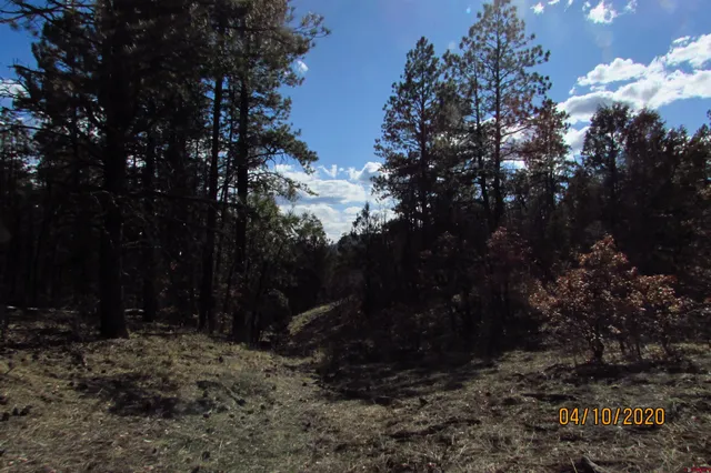 a view of outdoor space with trees