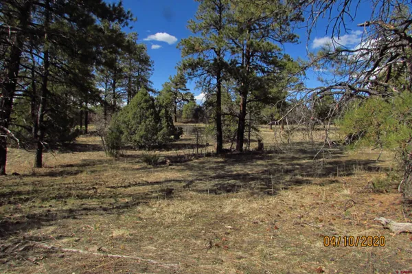 $289,000 | 2399 Bull Elk Place, Pagosa Springs, CO 81147
