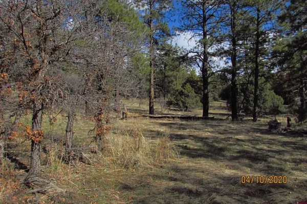 $289,000 | 2399 Bull Elk Place, Pagosa Springs, CO 81147