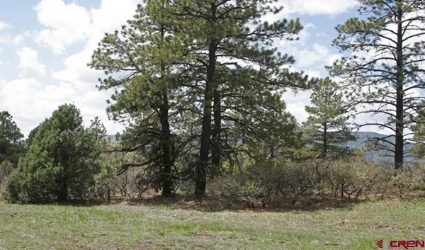 a backyard of a house with a yard and large tree