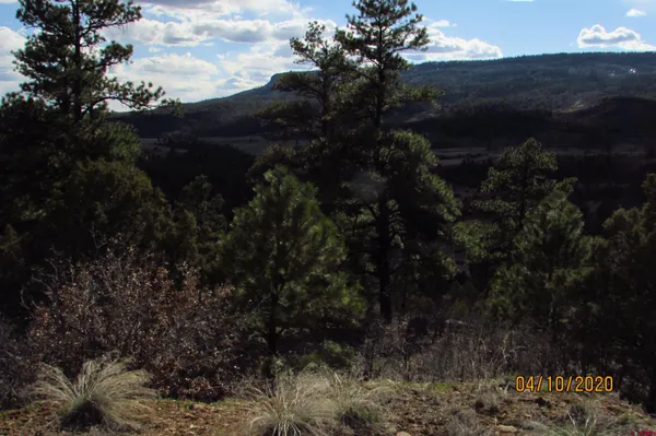 $289,000 | 2399 Bull Elk Place, Pagosa Springs, CO 81147