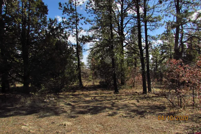 a view of outdoor space with trees