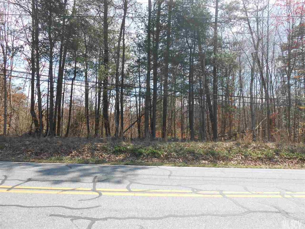 0 Henry River Road Hickory, NC 28602 - Photo 7 of 11 Gallery Image 7