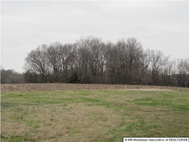 8 Ranch Road Hernando, MS 38632 - Photo 13 of 14 Additional Photo