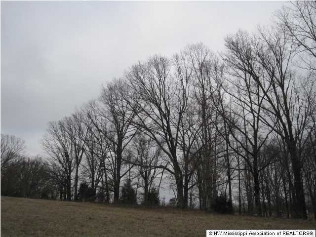 8 Ranch Road Hernando, MS 38632 - Photo 2 of 14 Additional Photo