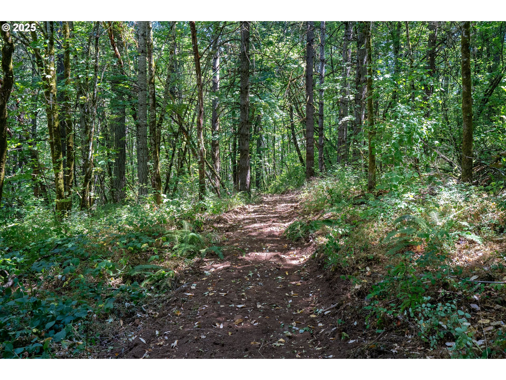 31795 Northeast Wilsonville Road Newberg, OR 97132 - Photo 13 of 26 a view of outdoor space and green space