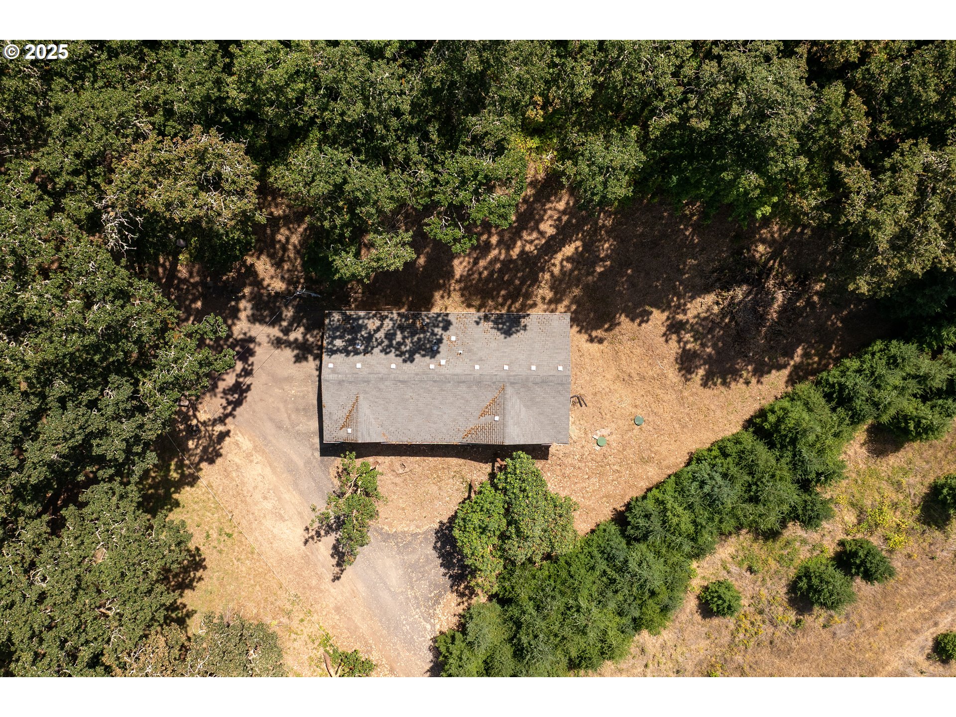 31795 Northeast Wilsonville Road Newberg, OR 97132 - Photo 26 of 26 a view of a tree in front of a yard