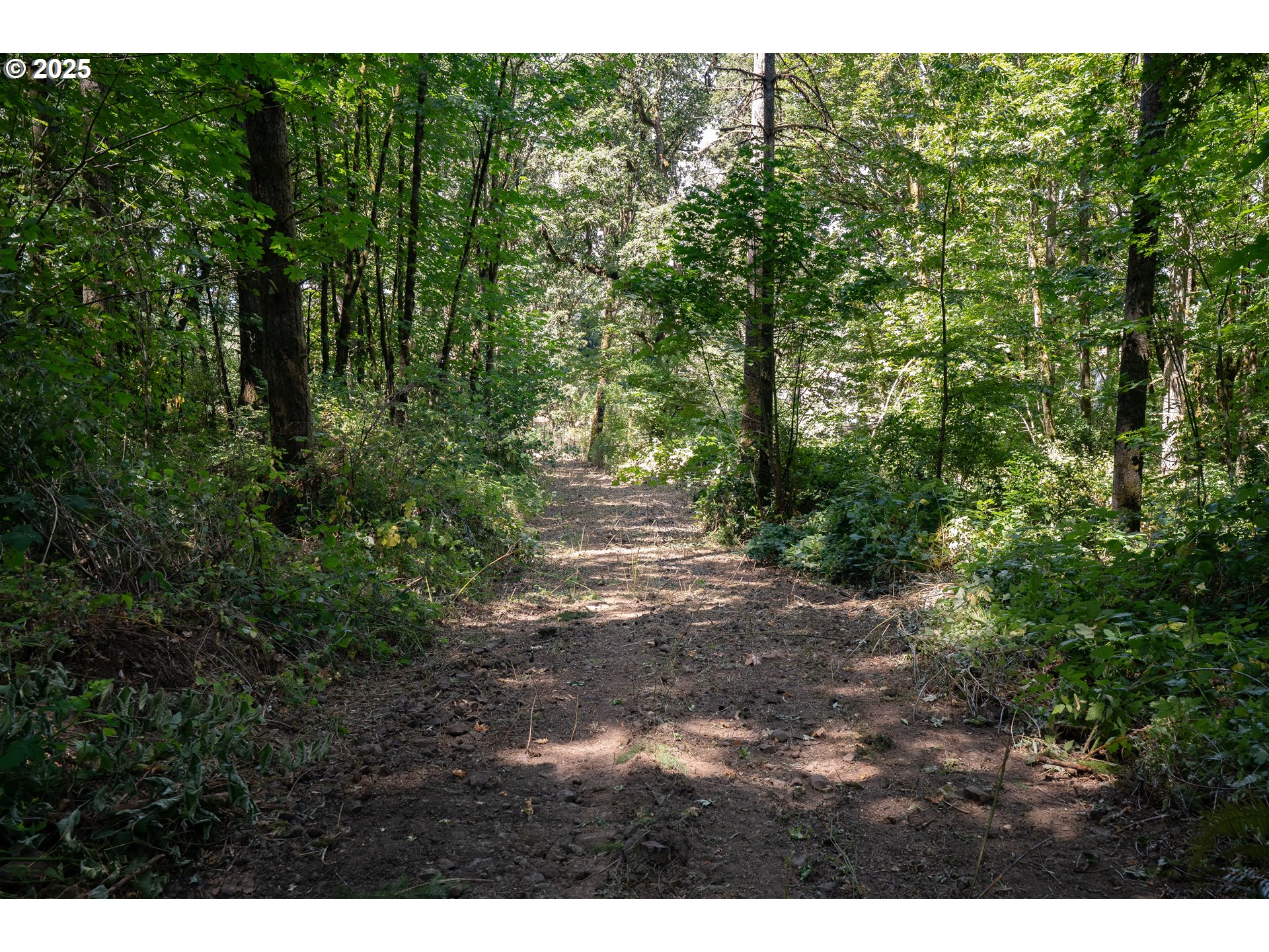 31795 Northeast Wilsonville Road Newberg, OR 97132 - Photo 9 of 26 a view of outdoor space and trees
