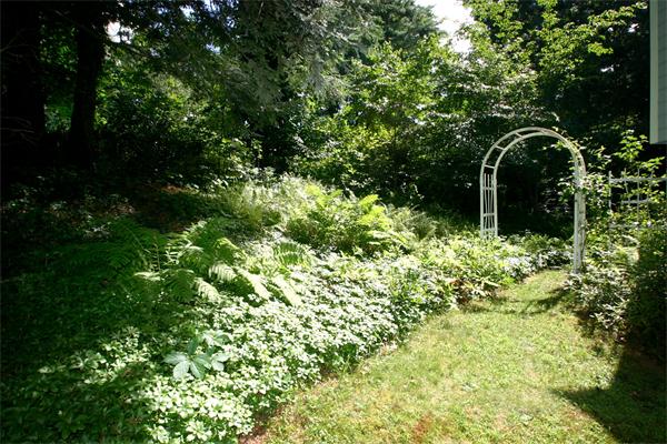 8 Longfellow Road Wayland, MA 01778 - Photo 23 of 24 a backyard of a house with lots of green space and garden