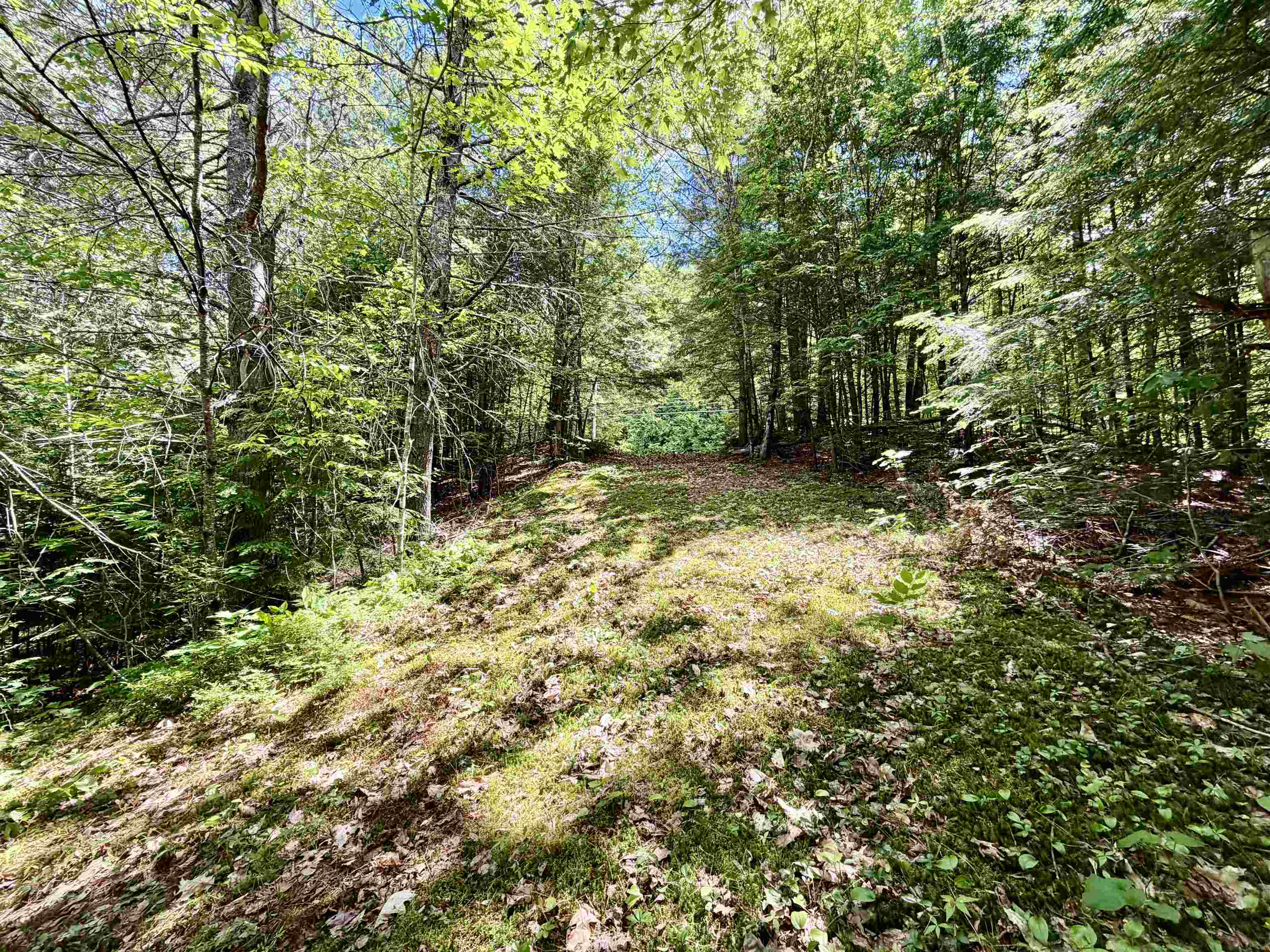 175 Nh Route Campton, NH 03223 - Photo 12 of 15