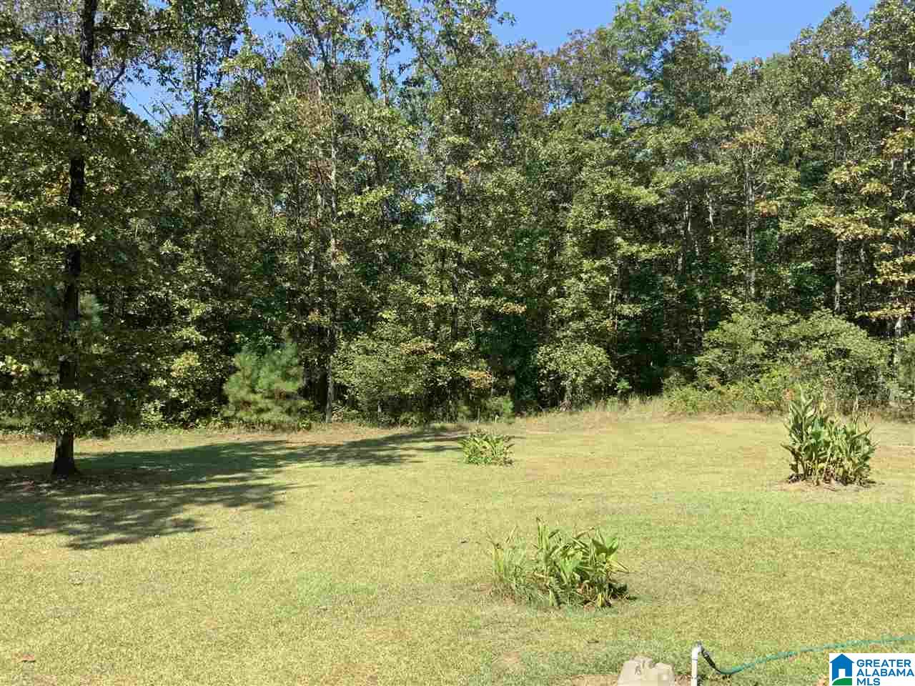 1458 Boiling Springs Road Ohatchee, AL 36271 - Photo 5 of 16