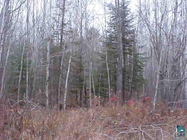 0 Niemisto Road Washburn, WI 54891 - Photo 2 of 4 Gallery Image 2