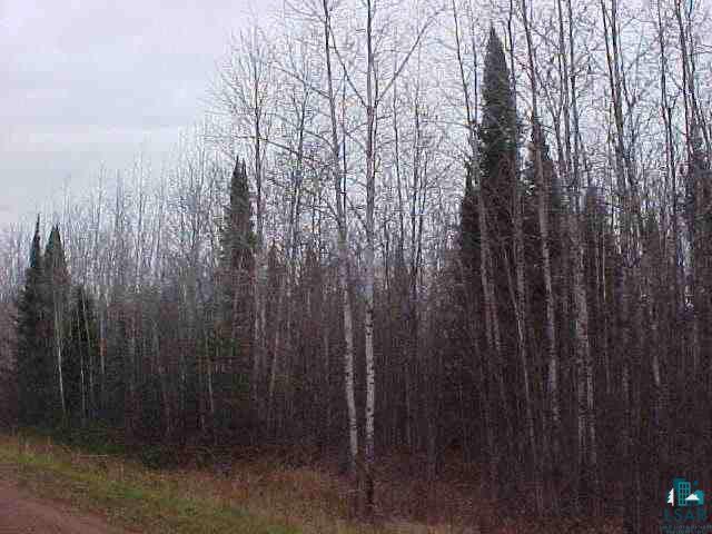 0 Niemisto Road Washburn, WI 54891 - Photo 3 of 4 Gallery Image 3