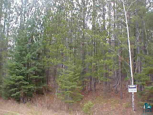 0 Niemisto Road Washburn, WI 54891 - Photo 4 of 4 Gallery Image 4