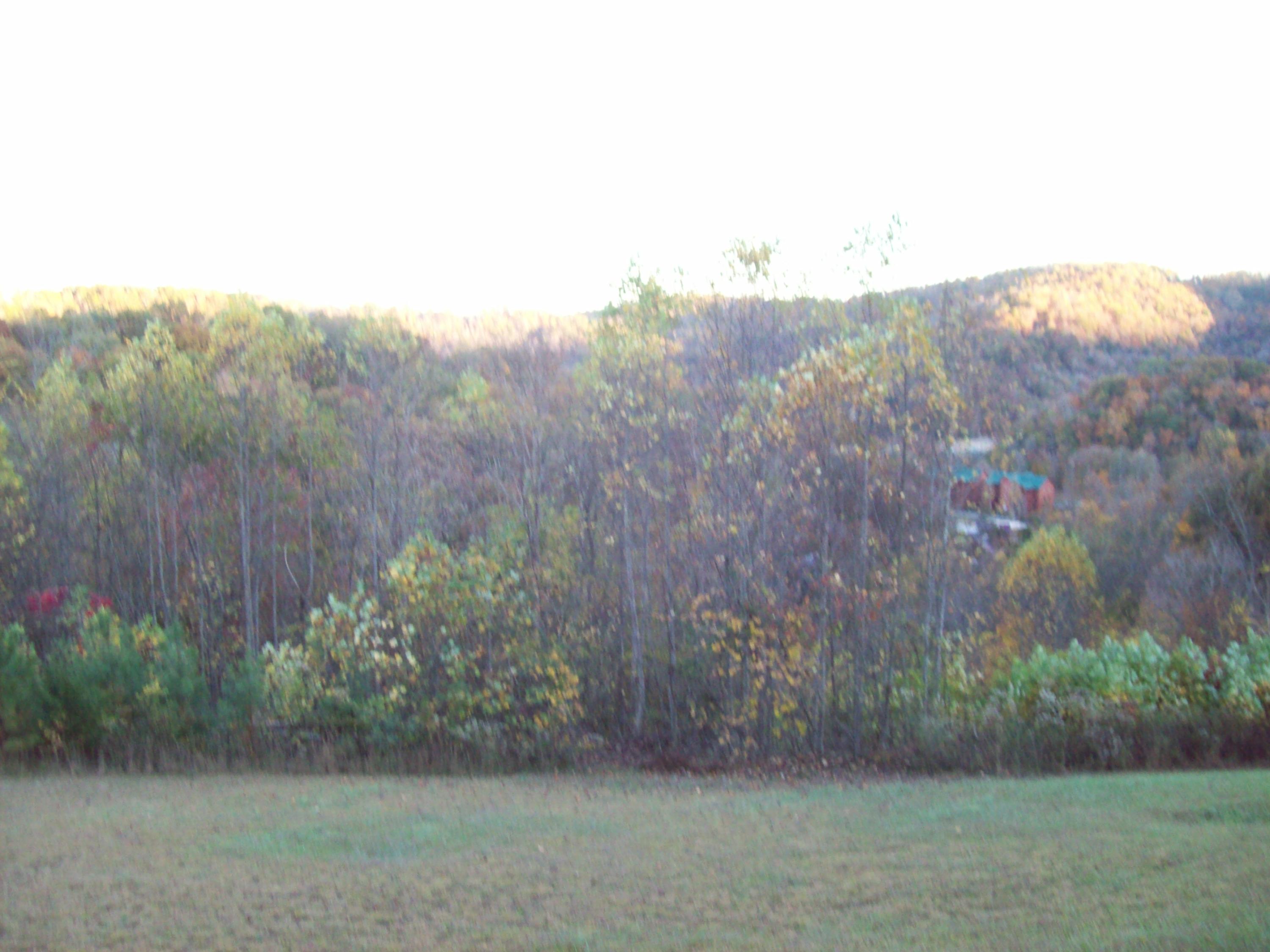 1462 Ridge Road Caryville, TN 37714 - Photo 8 of 34 101_3175