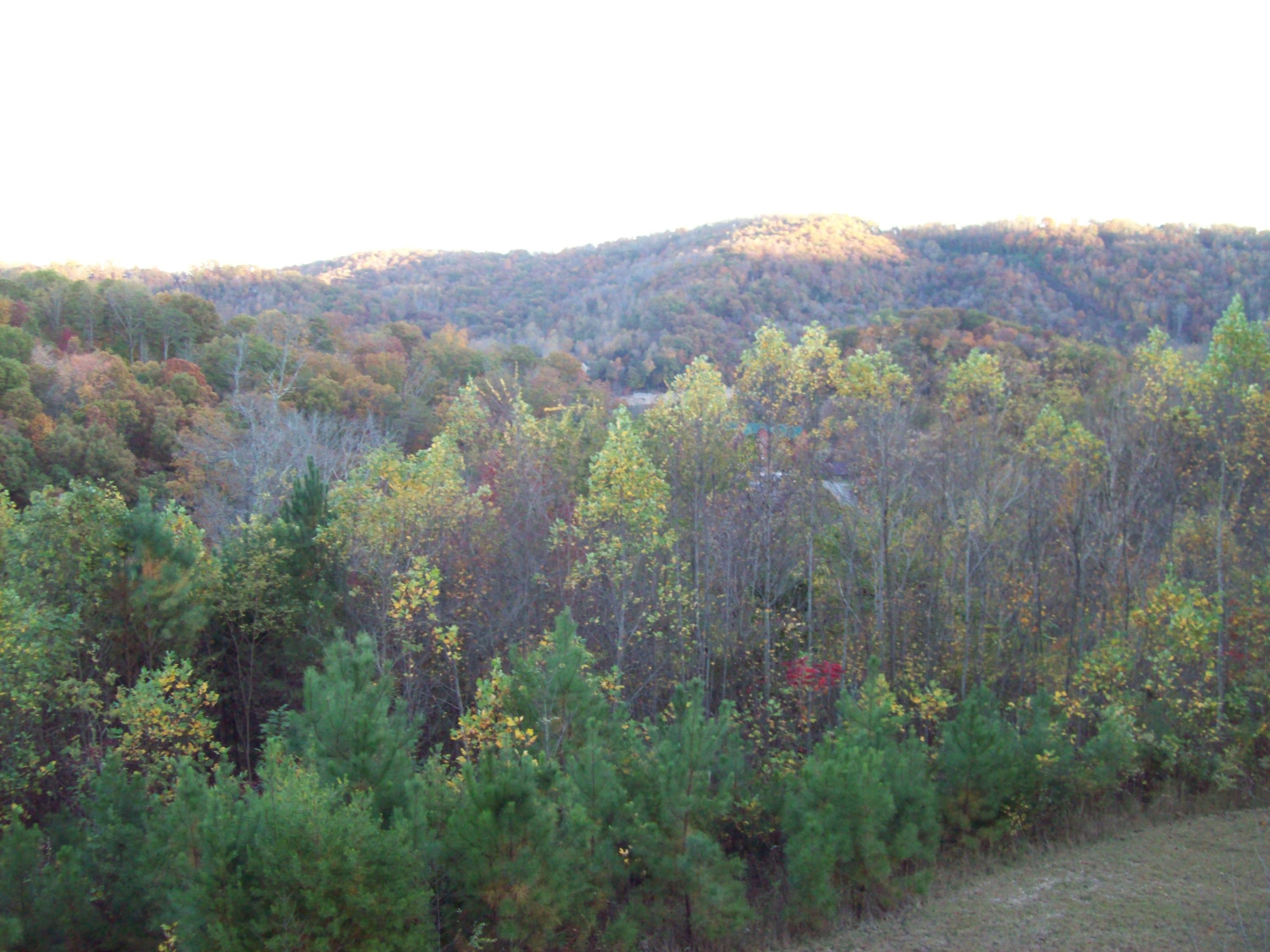 1462 Ridge Road Caryville, TN 37714 - Photo 9 of 34 101_3180