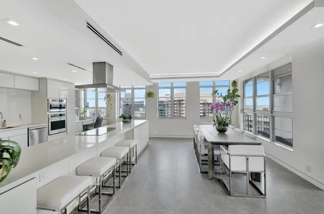 a room with furniture and a potted plant