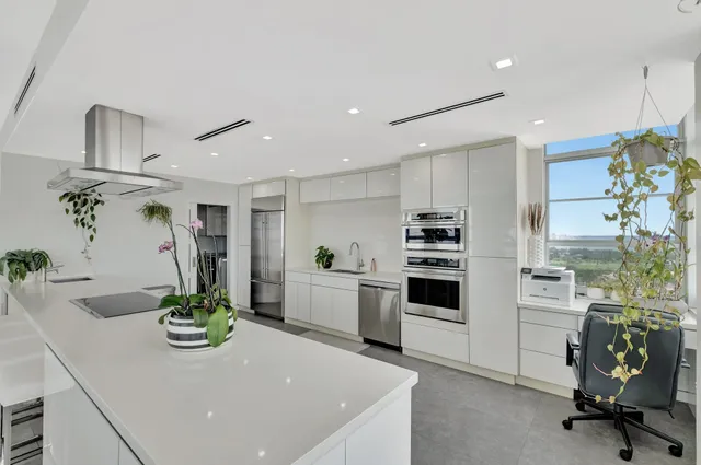 a kitchen with a potted plant on the counter and cabinets