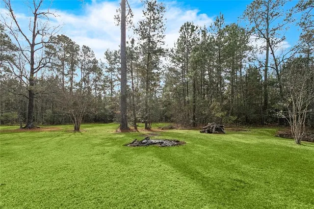 $310,000 | 33001 Horseshoe Road North, Independence, LA 70443