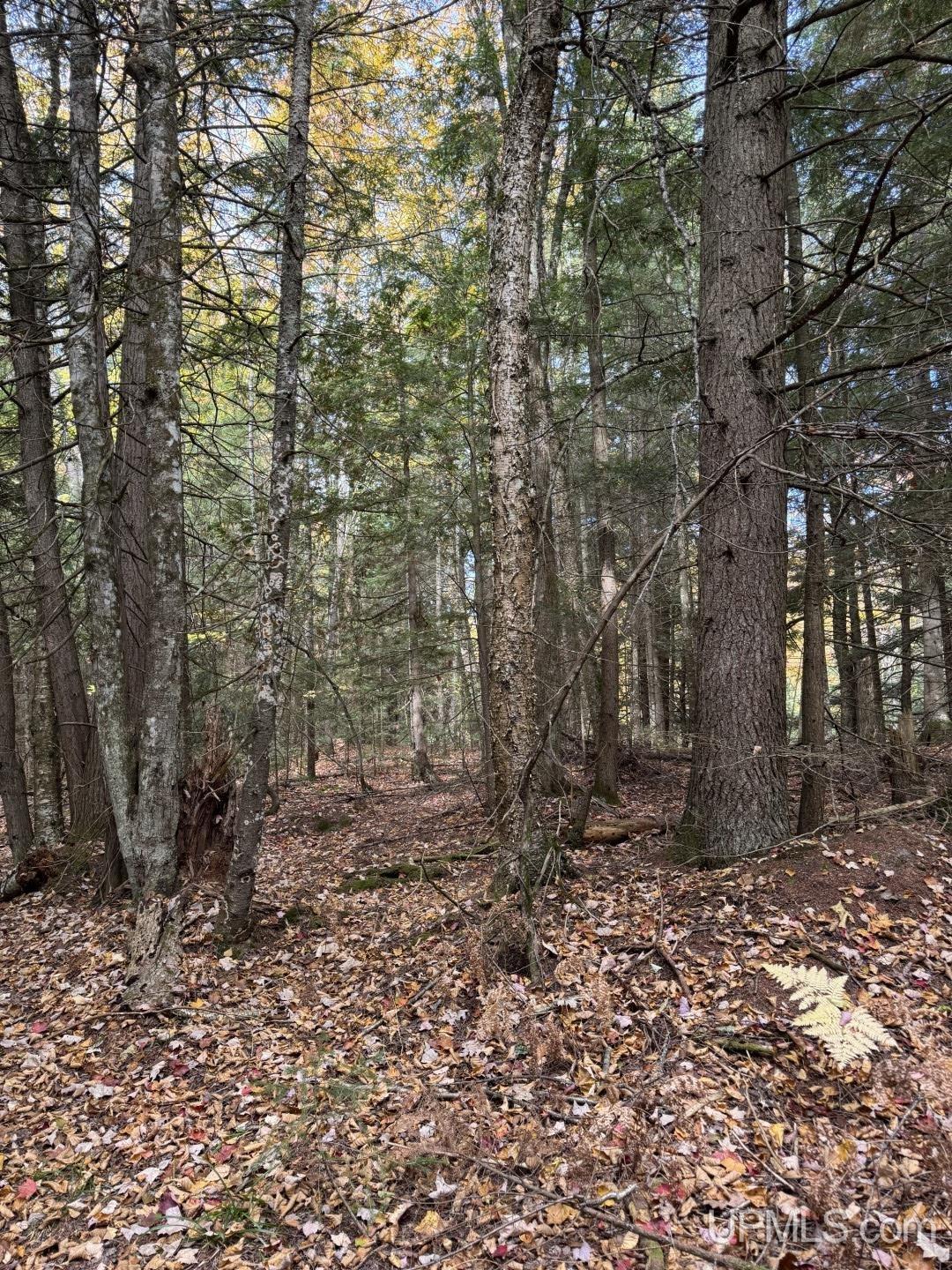Tbd Johnson Road Lanse, MI 49946 - Photo 8 of 20