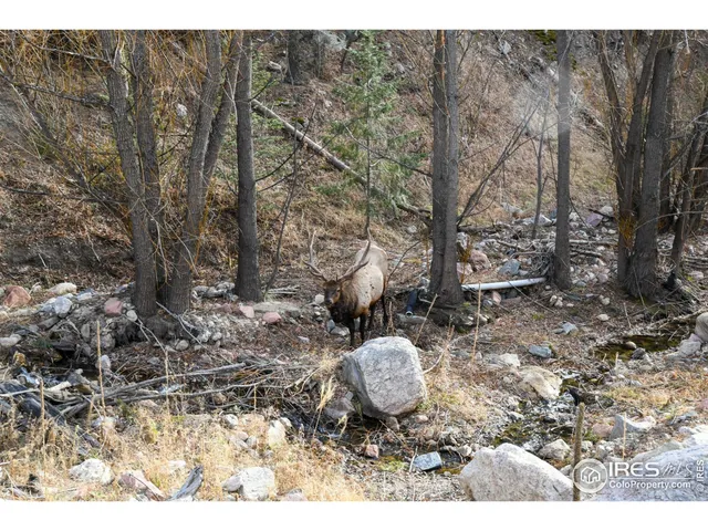 a view of a outdoor space