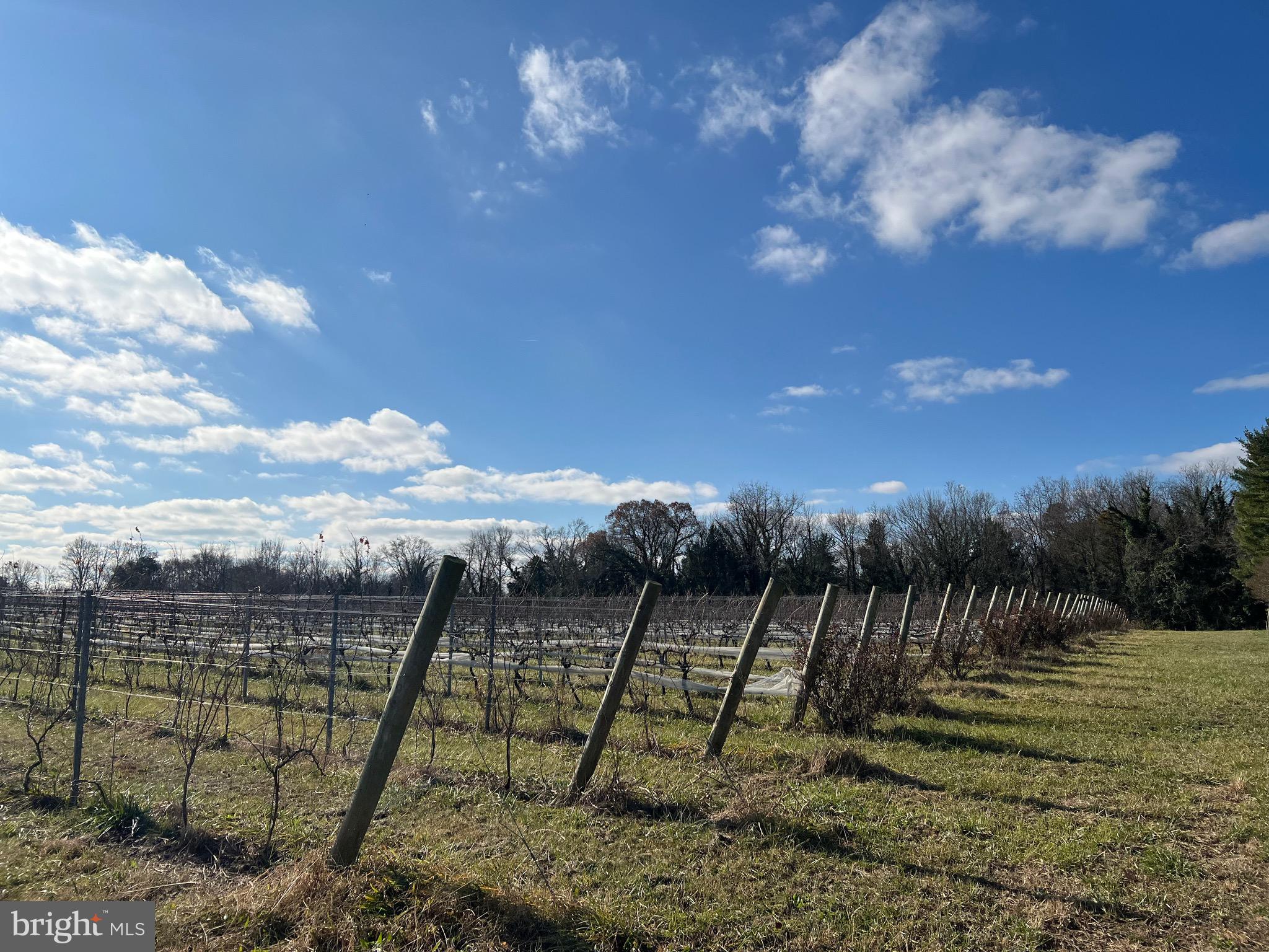 0 Rock Castle Road Goochland, VA 23063 - Photo 1 of 4 Gallery Image 1