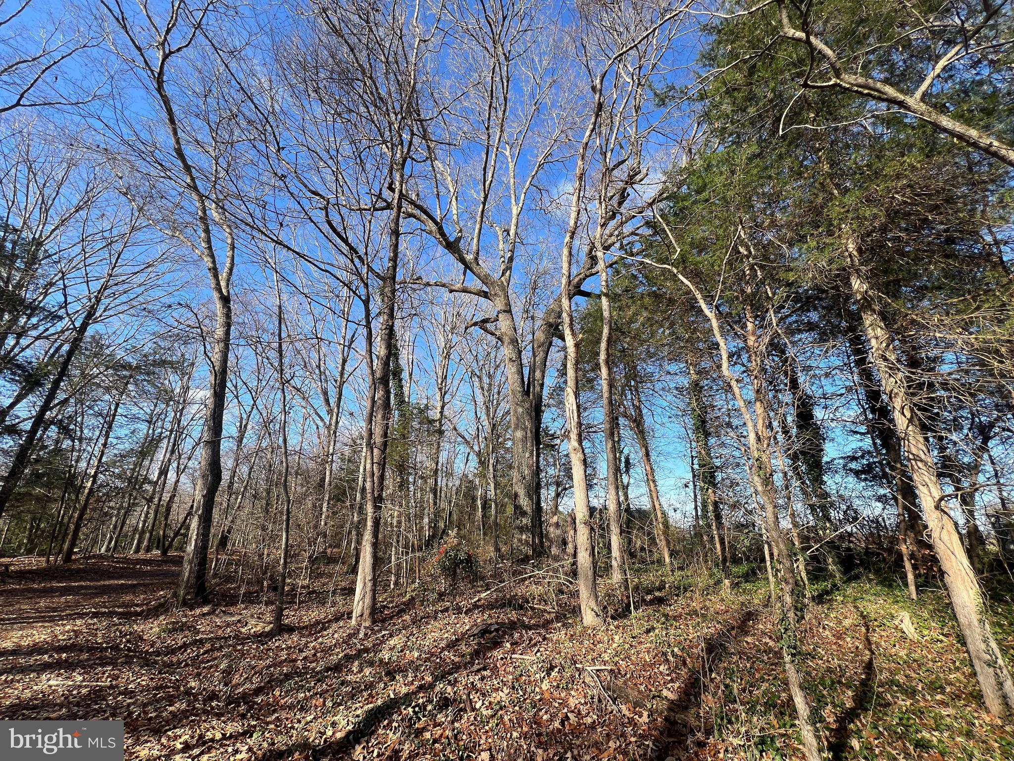 0 Rock Castle Road Goochland, VA 23063 - Photo 3 of 4 Gallery Image 3