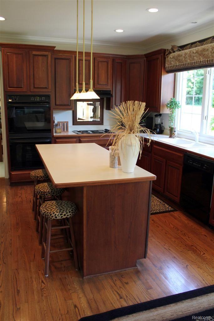 580 Springview Drive Rochester, MI 48307 - Photo 9 of 22 Kitchen