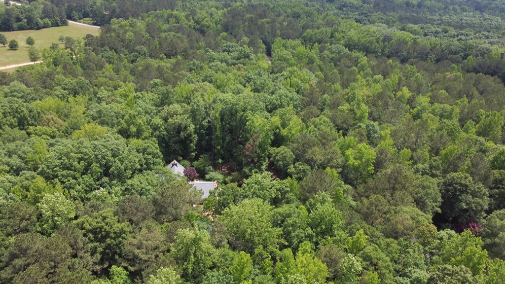 392 Mayo Road Ellerslie, GA 31807 - Photo 8 of 62 Gallery Image 8