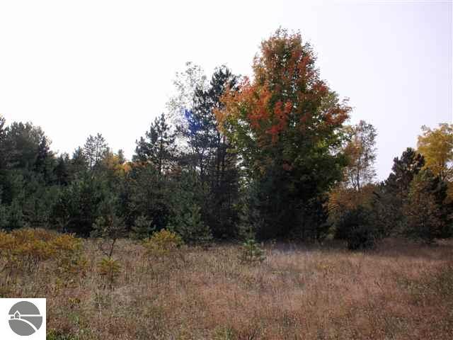 20487 Rice Road Copemish, MI 49625 - Photo 23 of 24 1739894-22.JPG