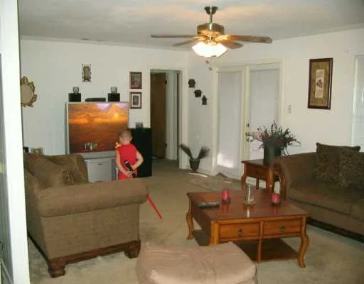 a living room with furniture flowerpot and window