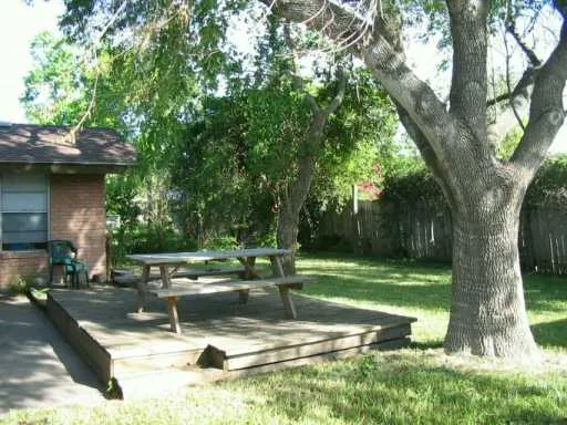 a view of a park with large trees