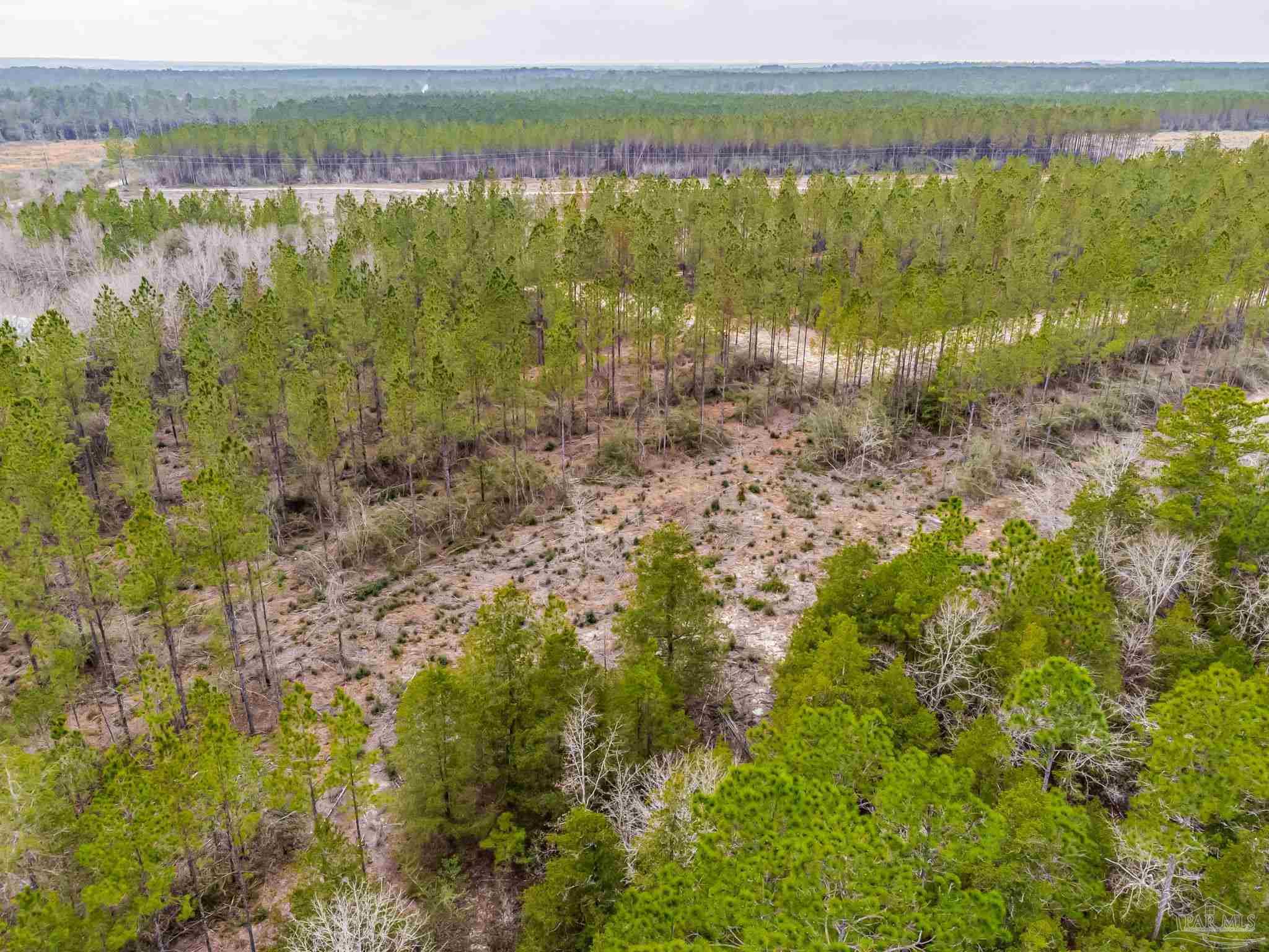 8997 Indian Ford Road, Unit PARCEL B 22 45 / ACRES (APPROXIMATELY) Milton, FL 32570 - Photo 12 of 36 a view of a lake with an outdoor space