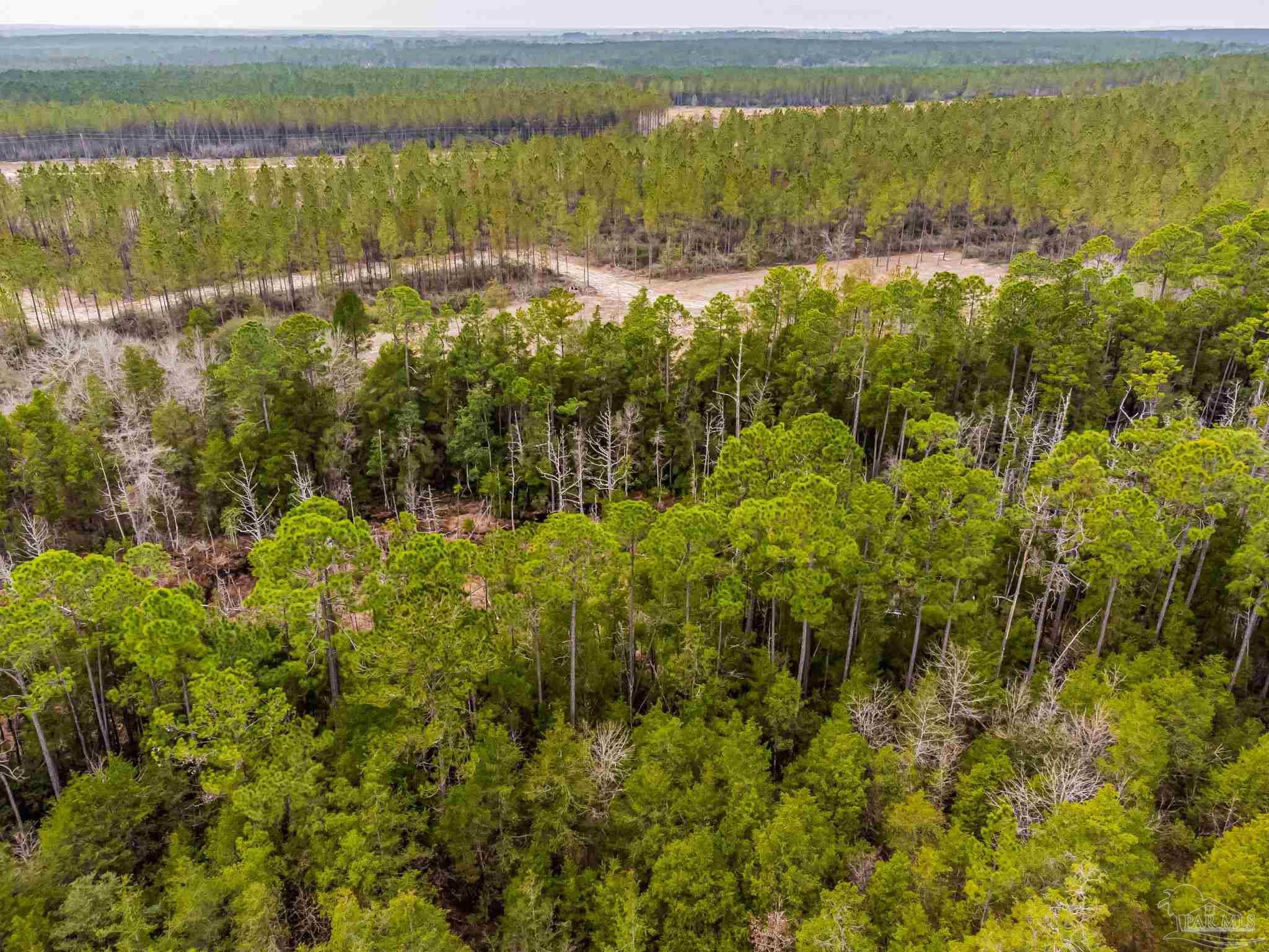 8997 Indian Ford Road, Unit PARCEL B 22 45 / ACRES (APPROXIMATELY) Milton, FL 32570 - Photo 20 of 36 a view of lake with mountain