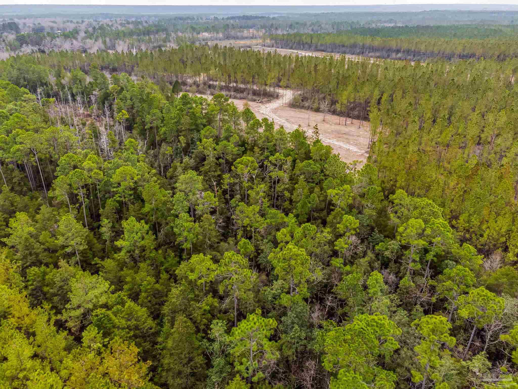 8997 Indian Ford Road, Unit PARCEL B 22 45 / ACRES (APPROXIMATELY) Milton, FL 32570 - Photo 22 of 36 a view of an outdoor space and a lake view