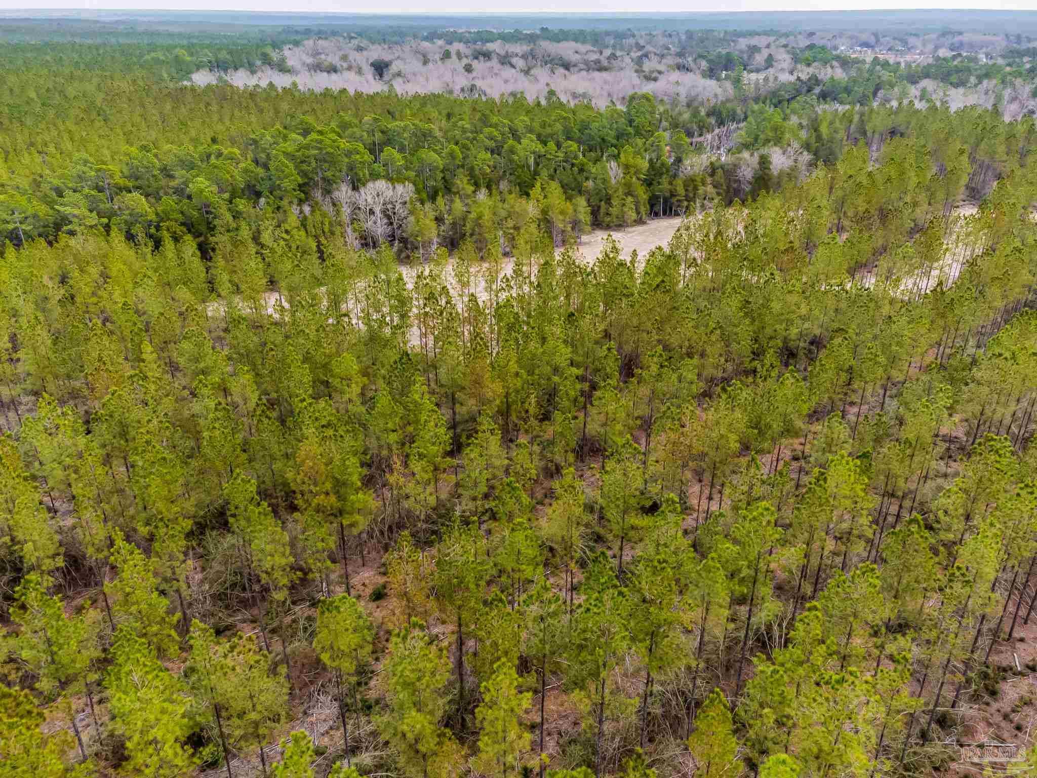 8997 Indian Ford Road, Unit PARCEL B 22 45 / ACRES (APPROXIMATELY) Milton, FL 32570 - Photo 26 of 36 a view of a bunch of trees