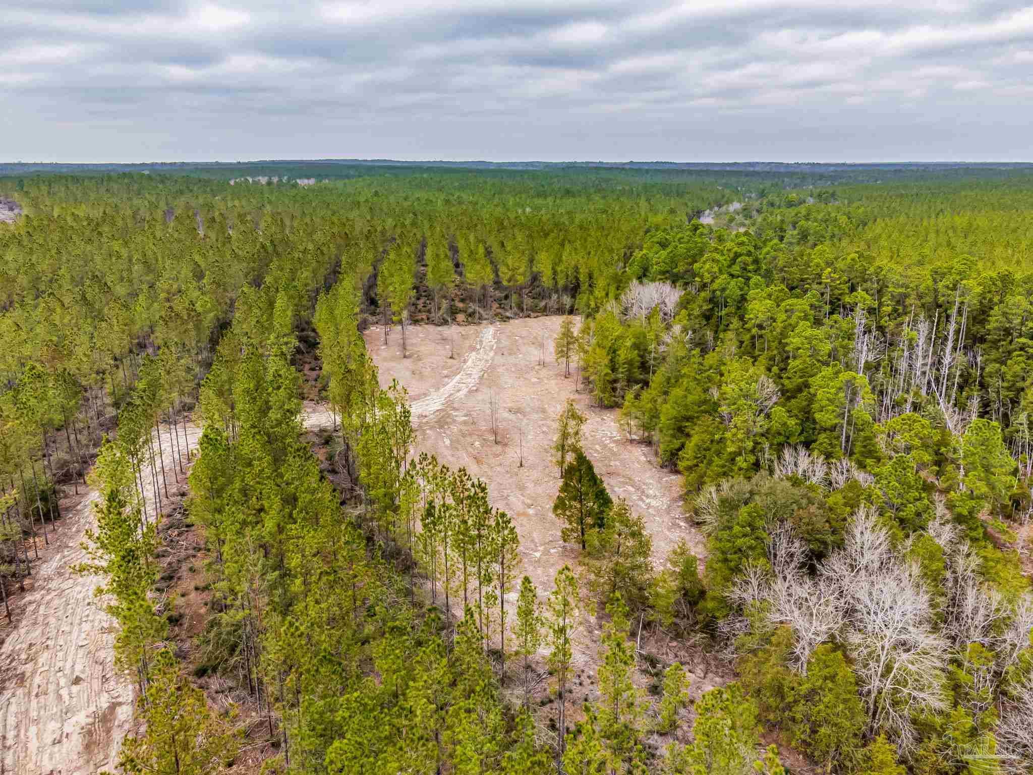 8997 Indian Ford Road, Unit PARCEL B 22 45 / ACRES (APPROXIMATELY) Milton, FL 32570 - Photo 33 of 36 a view of a lake with a building in the background