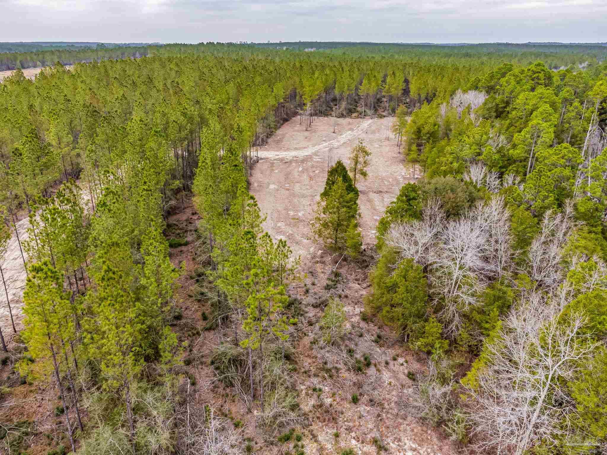 8997 Indian Ford Road, Unit PARCEL B 22 45 / ACRES (APPROXIMATELY) Milton, FL 32570 - Photo 34 of 36 a view of ocean view with beach