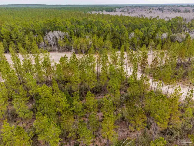 a view of ocean with green space