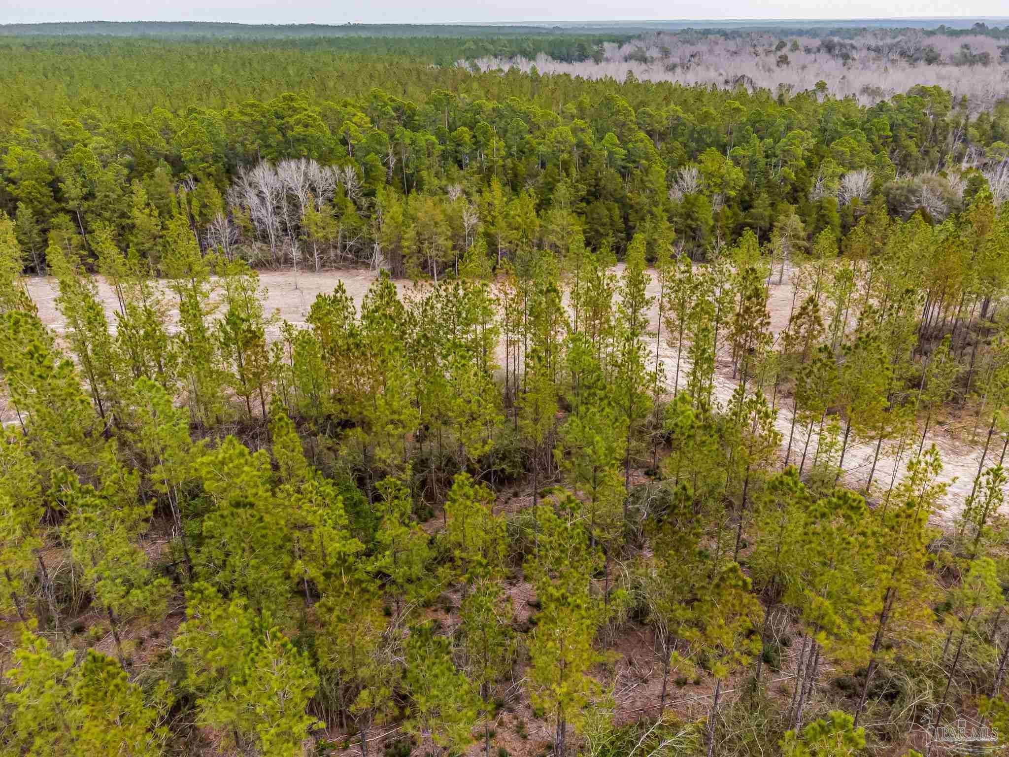 8997 Indian Ford Road, Unit PARCEL B 22 45 / ACRES (APPROXIMATELY) Milton, FL 32570 - Photo 5 of 36 a view of lake and green space