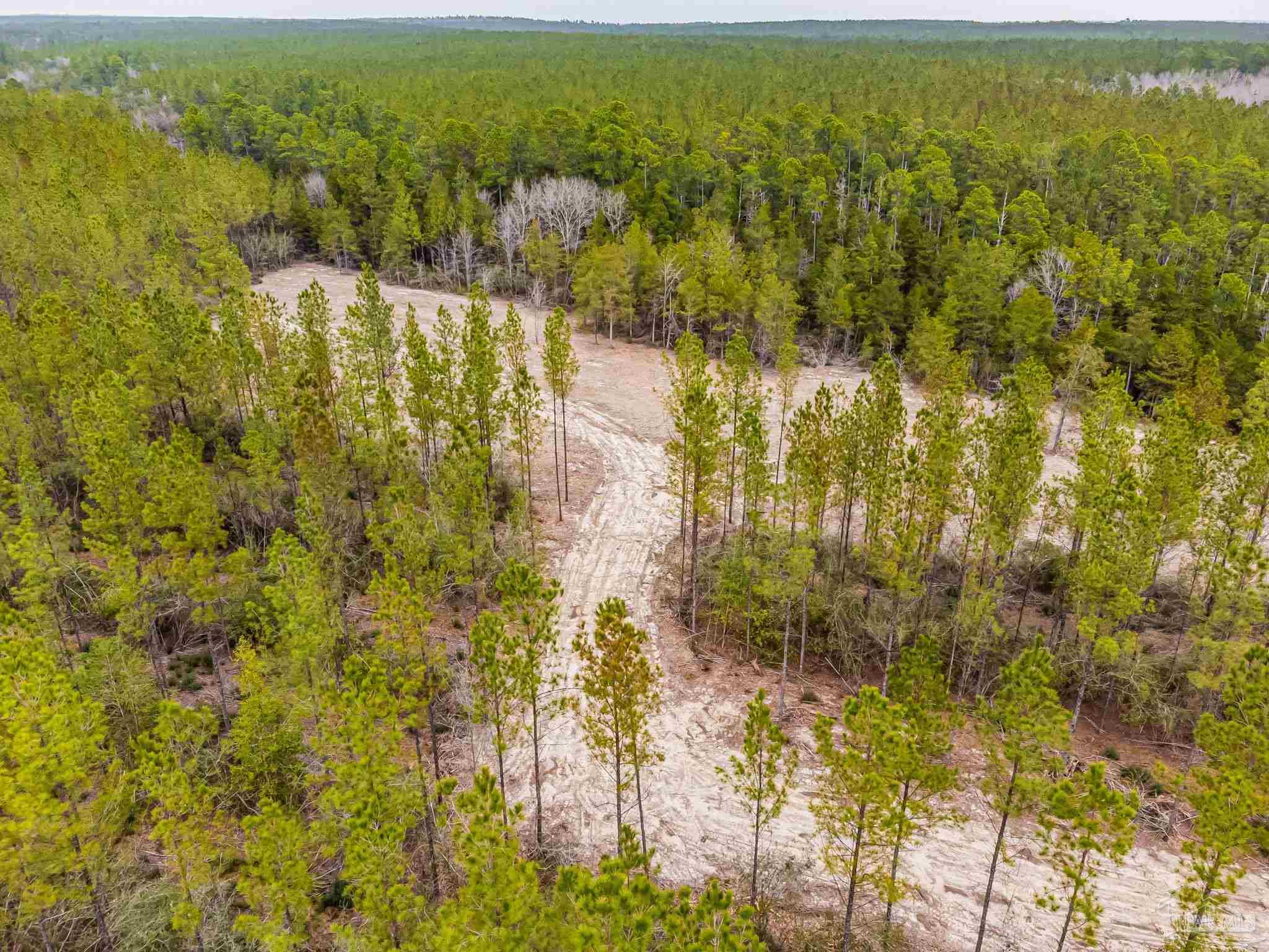 8997 Indian Ford Road, Unit PARCEL B 22 45 / ACRES (APPROXIMATELY) Milton, FL 32570 - Photo 6 of 36 a view of lake view