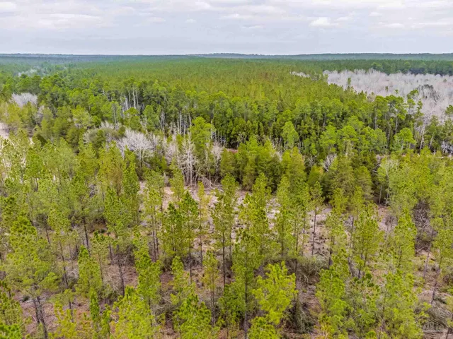 a view of lake with green space