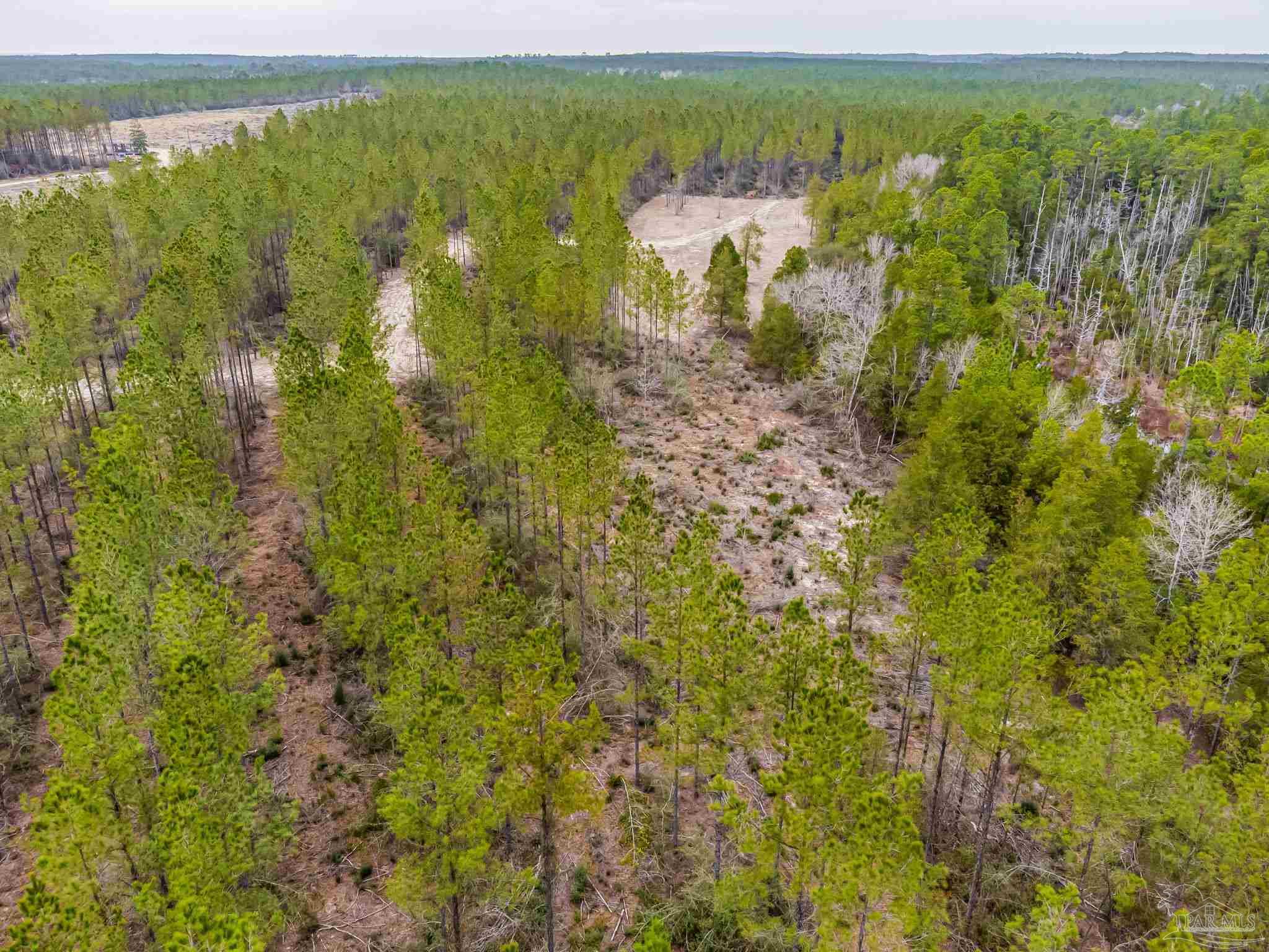8997 Indian Ford Road, Unit PARCEL B 22 45 / ACRES (APPROXIMATELY) Milton, FL 32570 - Photo 10 of 36 a view of a lake with houses in the background