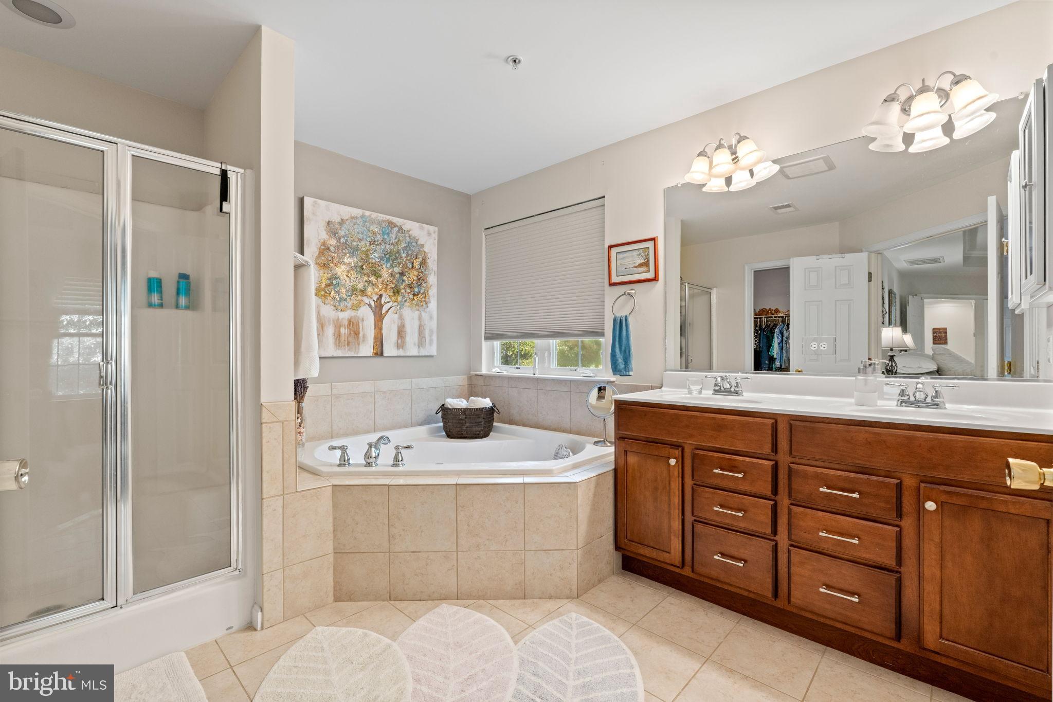 11215 Lord Baltimore Drive Issue, MD 20645 - Photo 14 of 38 Primary bath with stone tops