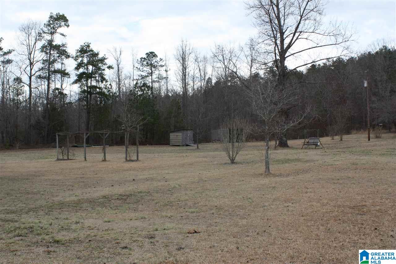 6507 New Liberty Road Jacksonville, AL 36265 - Photo 3 of 10